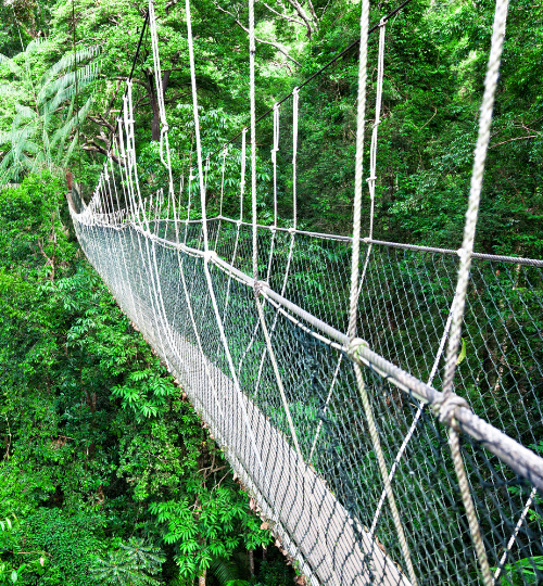 Loleygaon (Canopy Walk)